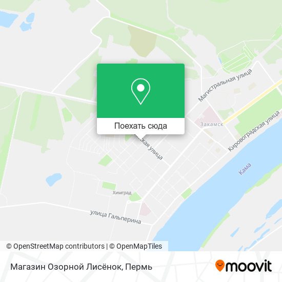 Карта Магазин Озорной Лисёнок