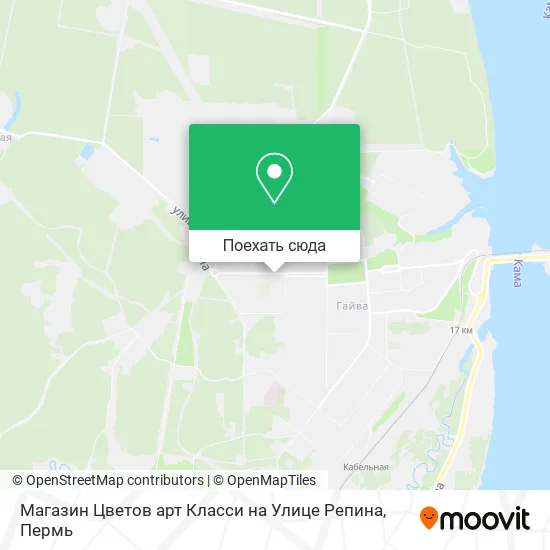 Карта Магазин Цветов арт Класси на Улице Репина