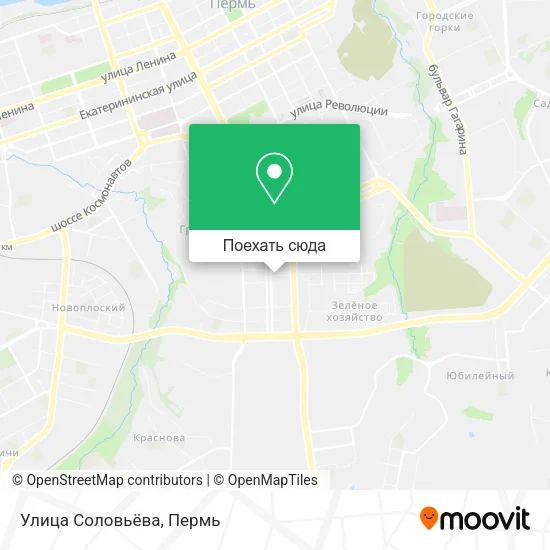 Карта Улица Соловьёва