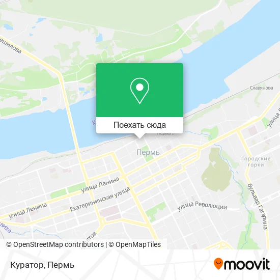 Карта Куратор