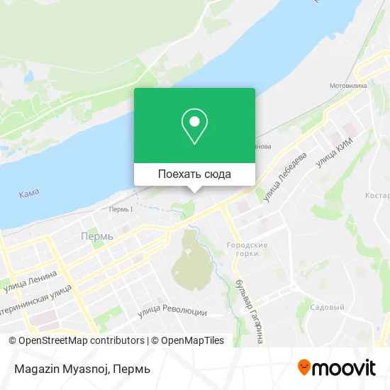 Карта Magazin Myasnoj