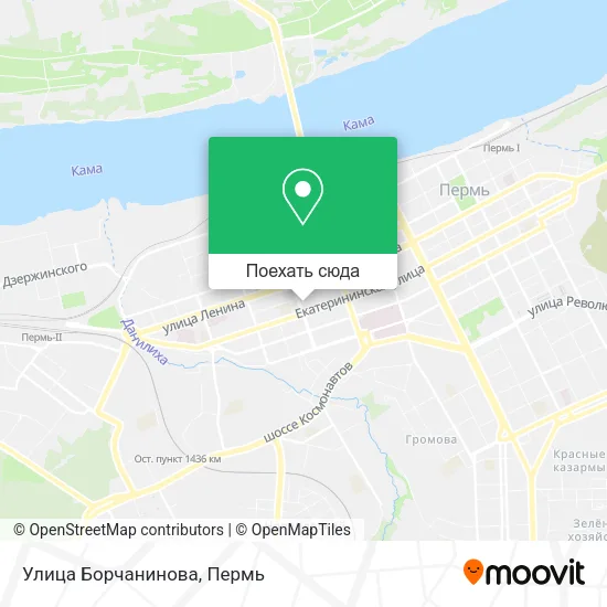 Карта Улица Борчанинова