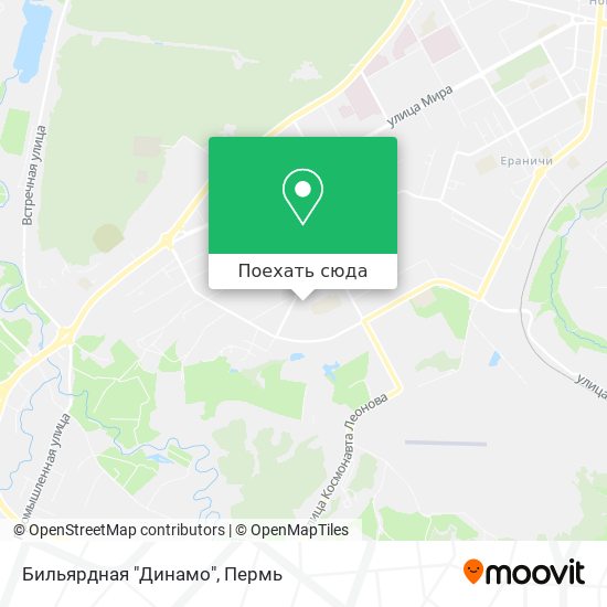 Карта Бильярдная "Динамо"