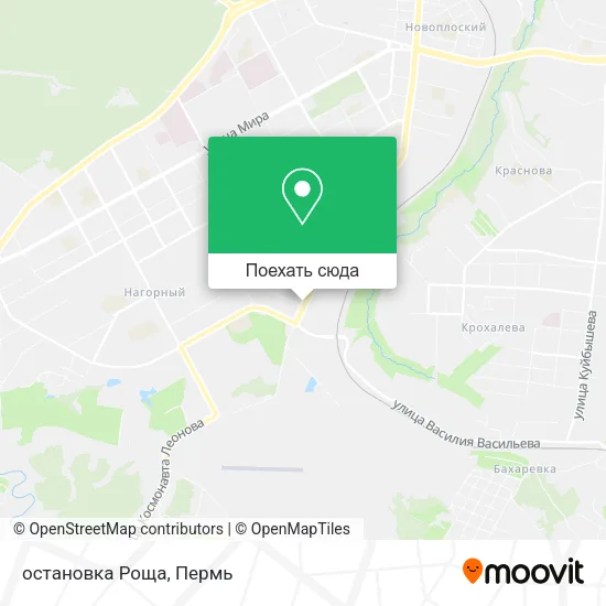Карта остановка Роща
