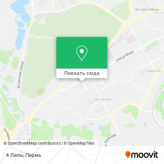 Карта 4 Лапы