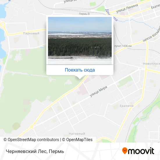 Карта Черняевский Лес