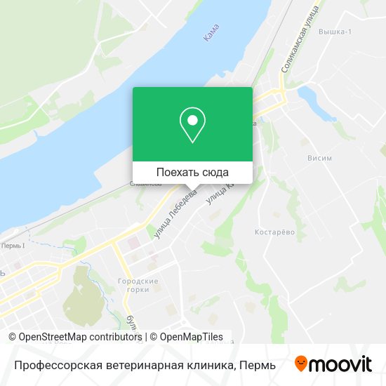 Карта Профессорская ветеринарная клиника