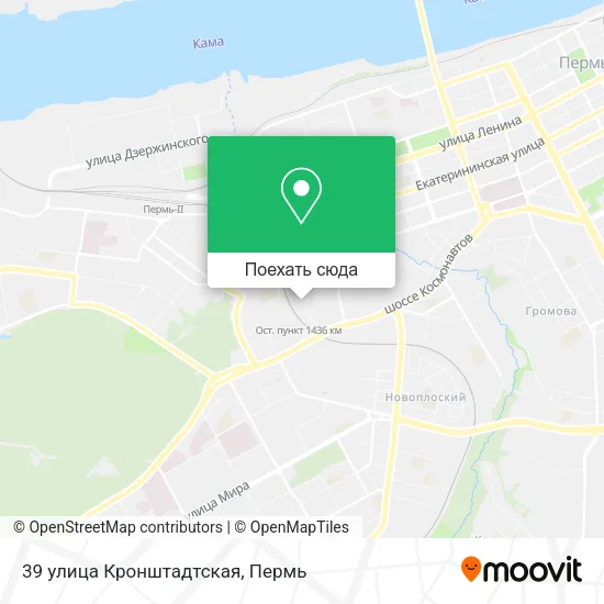 Карта 39 улица Кронштадтская
