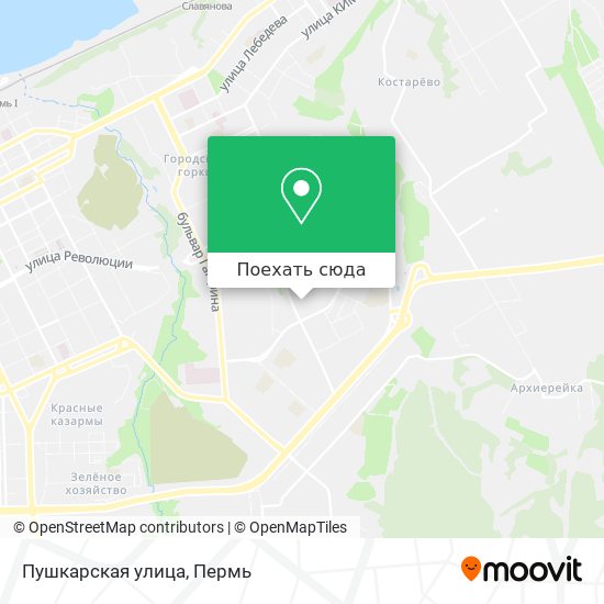 Карта Пушкарская улица
