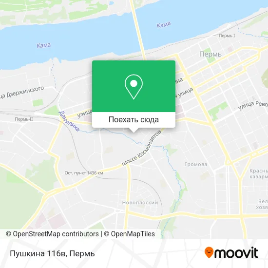Карта Пушкина 116в