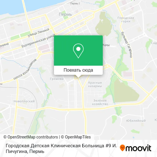 Карта Городская Детская Клиническая Больница #9 И. Пичугина