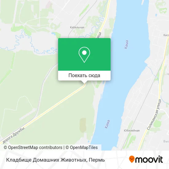 Карта Кладбище Домашних Животных
