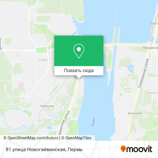 Карта 81 улица Новогайвинская