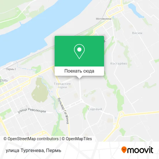 Карта улица Тургенева