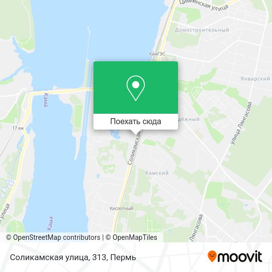 Карта Соликамская улица, 313
