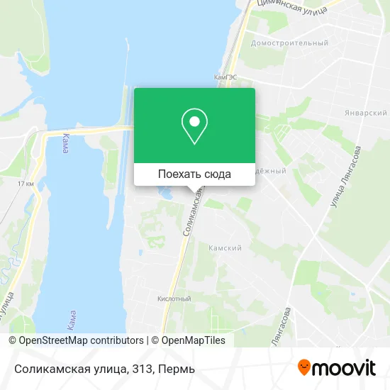 Карта Соликамская улица, 313
