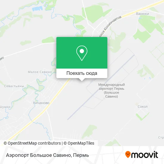 Карта Аэропорт Большое Савино