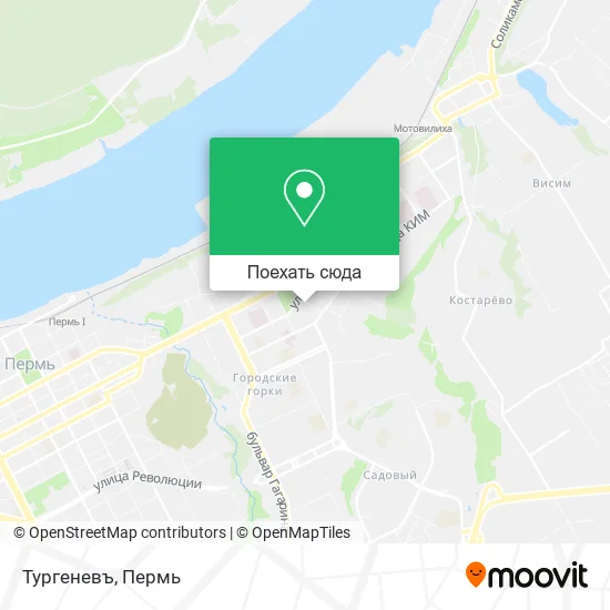 Карта Тургеневъ