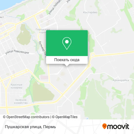 Карта Пушкарская улица