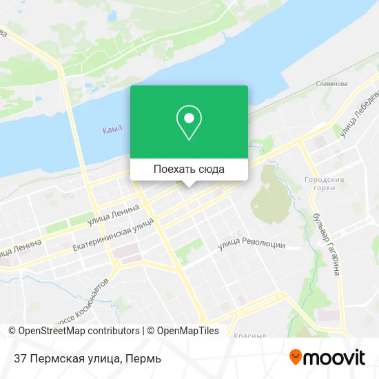 Карта 37 Пермская улица