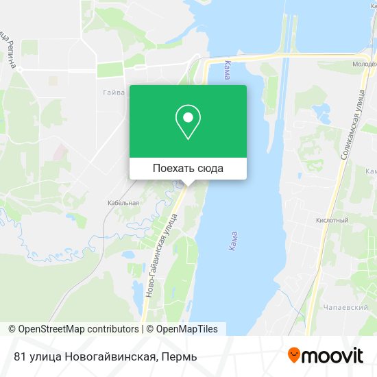 Карта 81 улица Новогайвинская