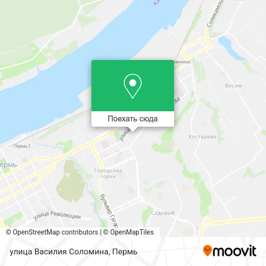 Карта улица Василия Соломина