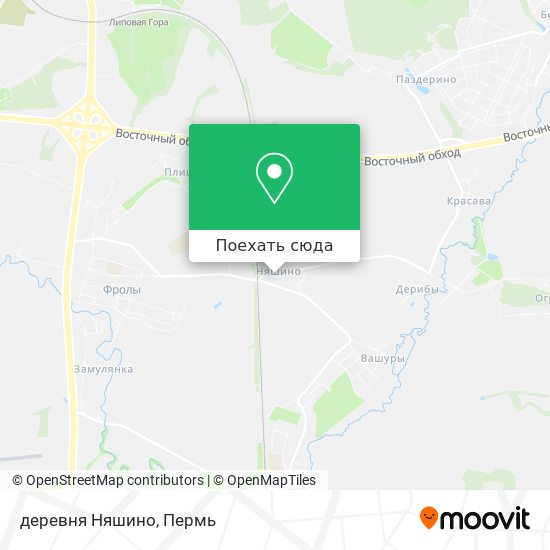 Карта деревня Няшино