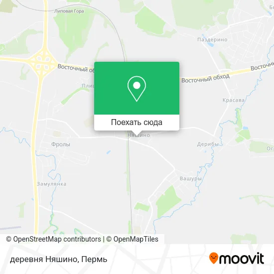 Карта деревня Няшино