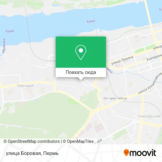 Карта улица Боровая