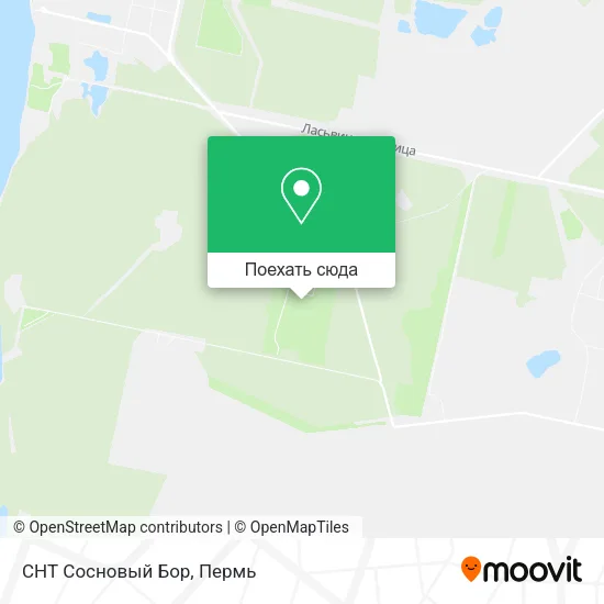 Карта СНТ Сосновый Бор