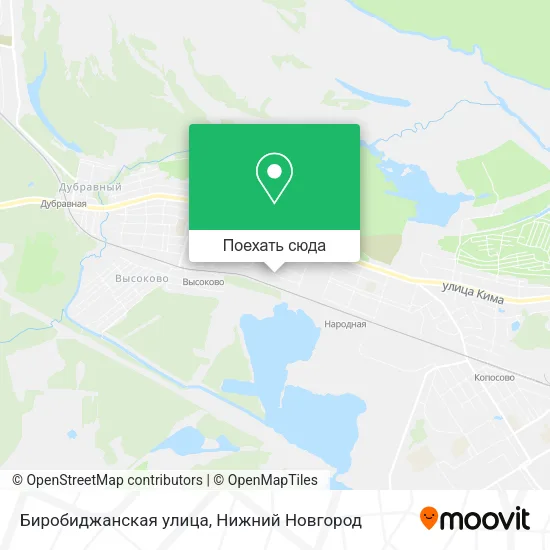 Карта Биробиджанская улица