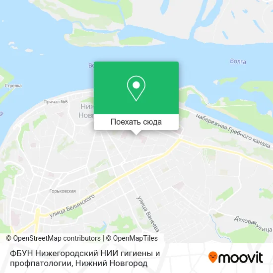 Карта ФБУН Нижегородский НИИ гигиены и профпатологии