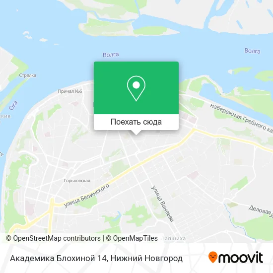 Карта Академика Блохиной 14