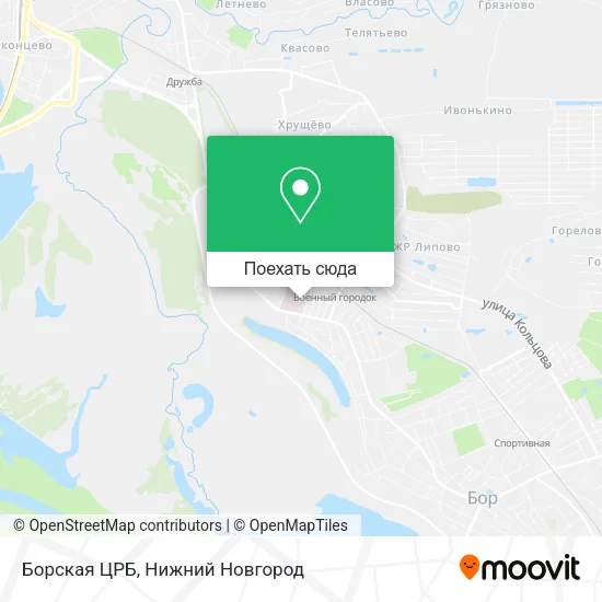 Карта Борская ЦРБ