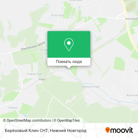 Карта Берёзовый Клин СНТ
