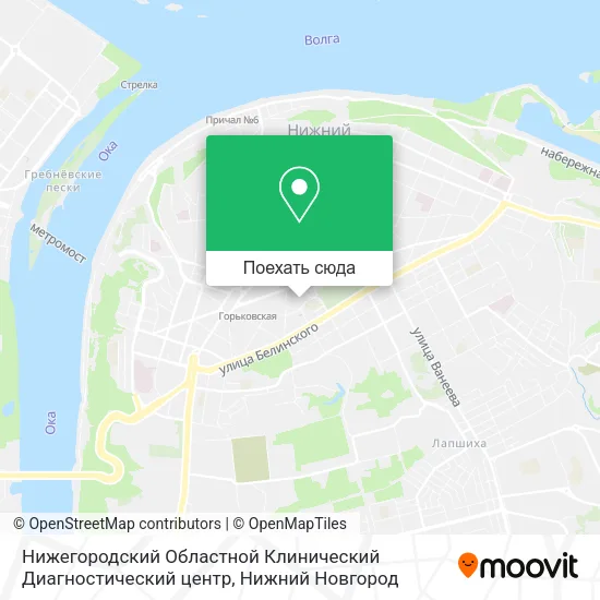 Карта Нижегородский Областной Клинический Диагностический центр