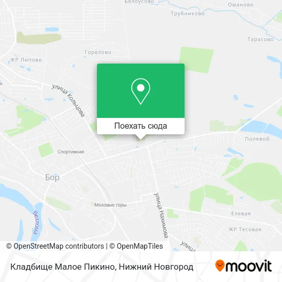 Карта Кладбище Малое Пикино