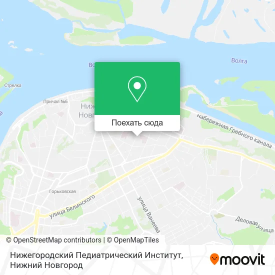 Карта Нижегородский Педиатрический Институт