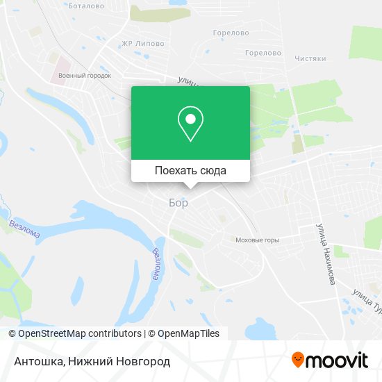 Карта Антошка