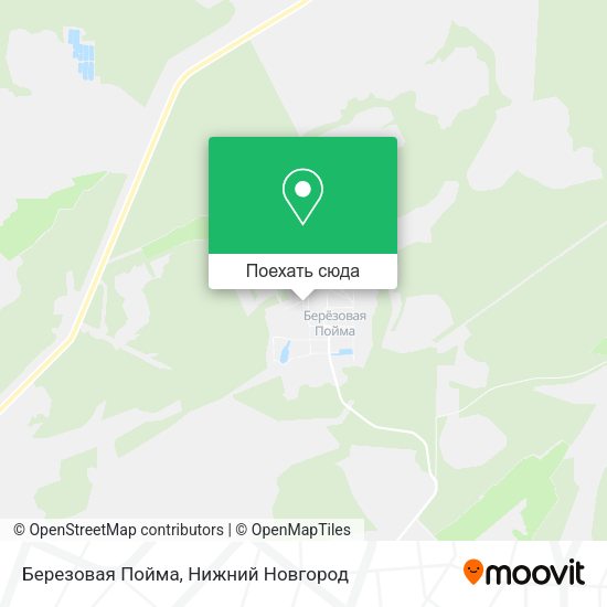 Карта Березовая Пойма