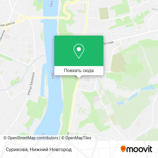 Карта Сурикова