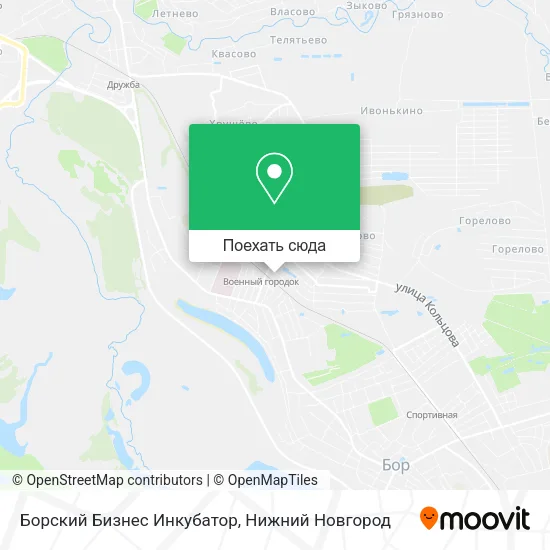 Карта Борский Бизнес Инкубатор