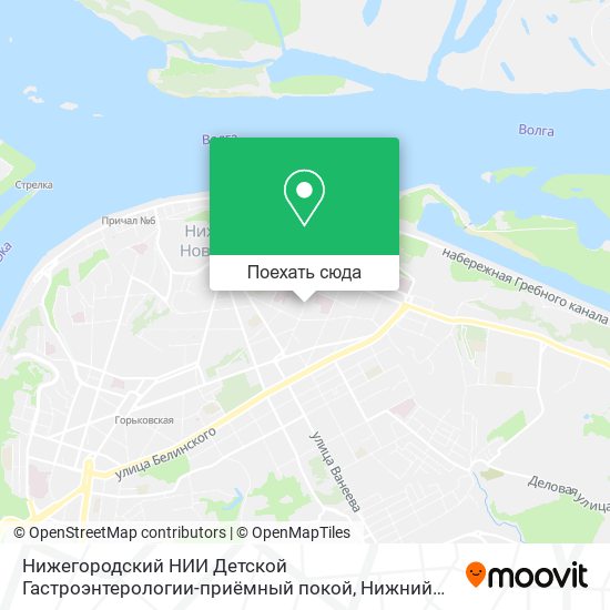 Карта Нижегородский НИИ Детской Гастроэнтерологии-приёмный покой