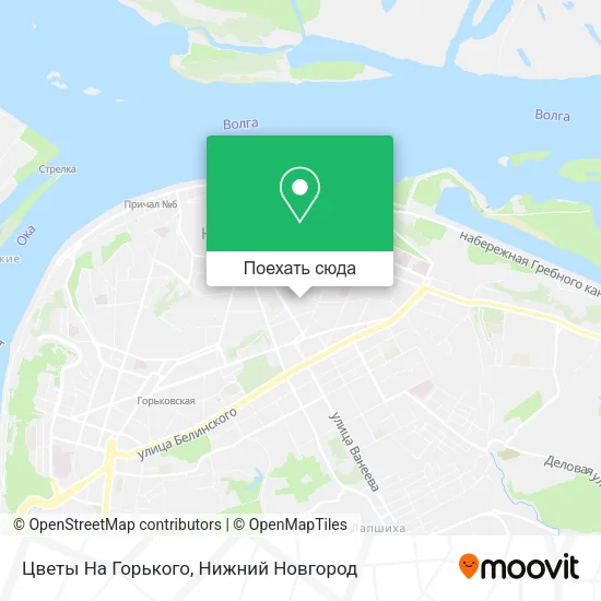Карта Цветы На Горького