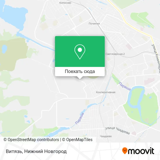 Карта Витязь