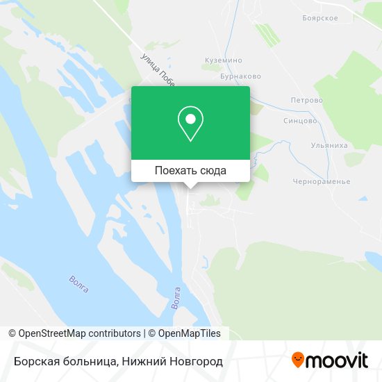 Карта Борская больница