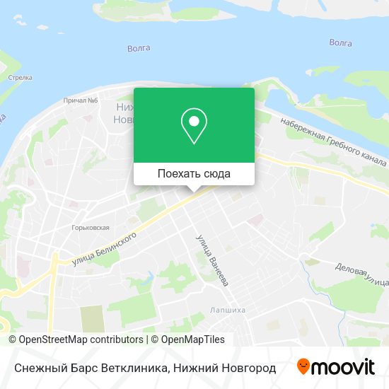 Карта Снежный Барс Ветклиника