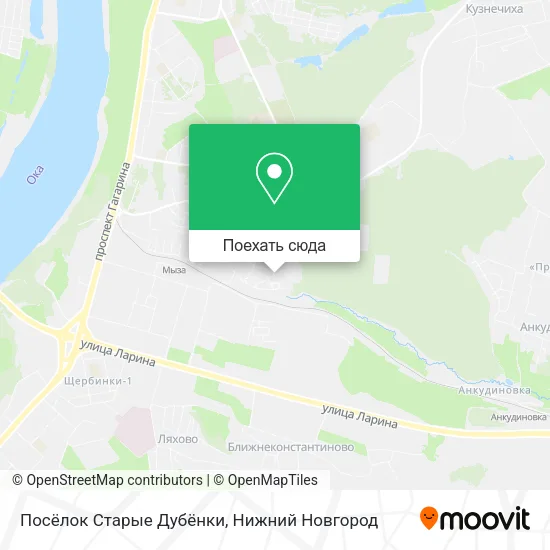 Карта Посёлок Старые Дубёнки