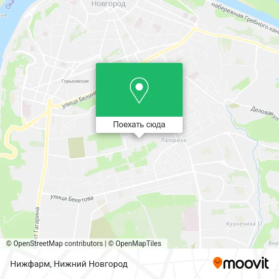 Карта Нижфарм