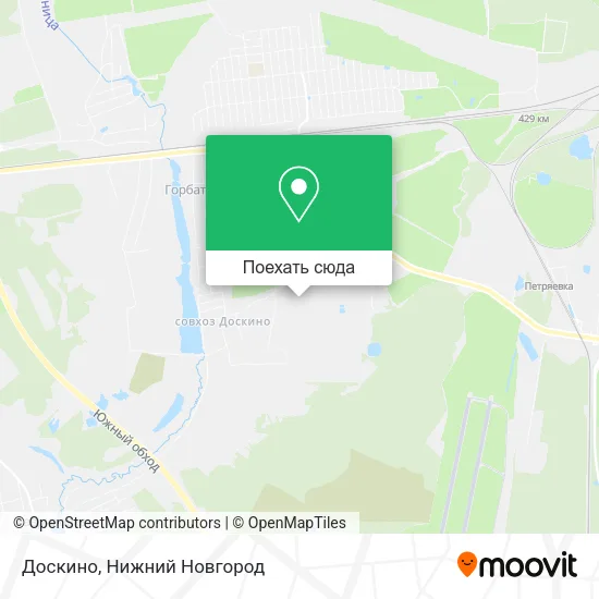 Карта Доскино